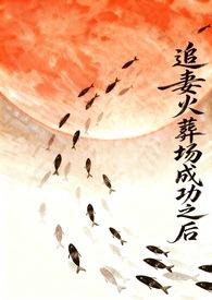 追妻火葬场