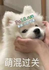 别捏我脸无广告