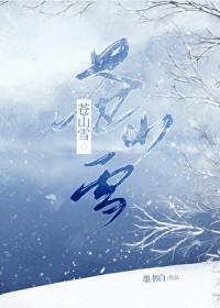 苍山雪讲的什么