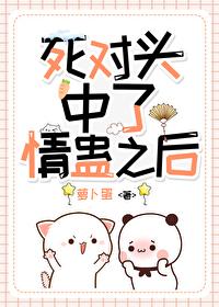 和死对头he