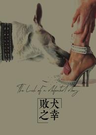 败犬情节