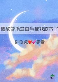 情敌变成了我的猫怎么破在线等