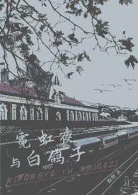 霓虹夜晚完整版