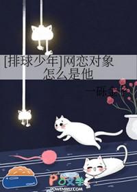 排球少年+网王