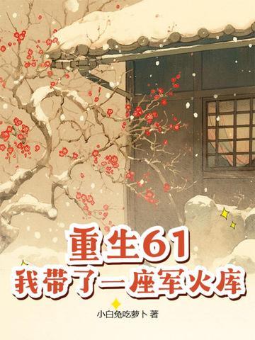 我带了一座军火库阅读全