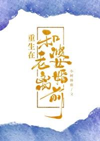 重生在和老婆离婚前txt百度