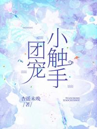 团宠文