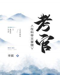 在科举文里做考官 辛宸