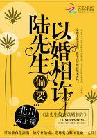 陆先生偏要以婚相许精彩片段
