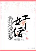 我的老公是奸佞平西王