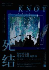 死结(姐弟骨科)(理昭)