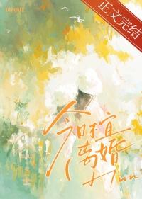 今日不宜离婚by北途川讲的什么