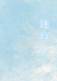 迷宫文学