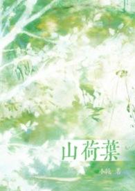 山荷叶和荷叶哪个功效更强