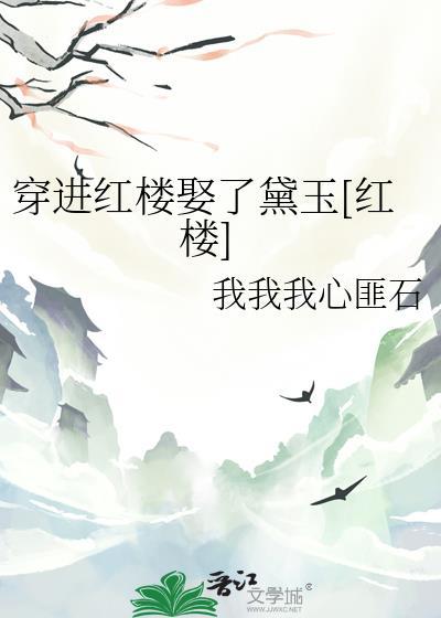穿入红楼梦排行榜