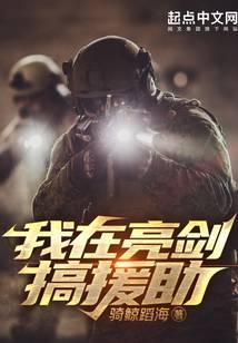 我在亮剑搞援助被和谐了