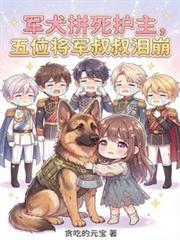 军犬播放