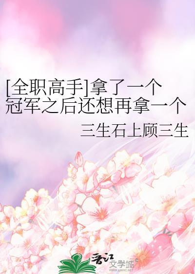 全职高手所有冠军