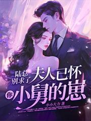 贺律师又沦陷了免费阅读全