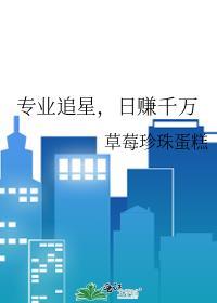 专业追星日赚千万TXT百度