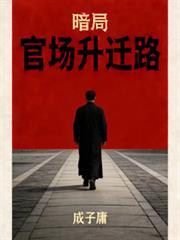 暗局官场升迁路全本