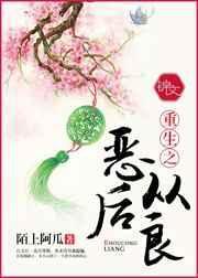 重生之恶毒继妻