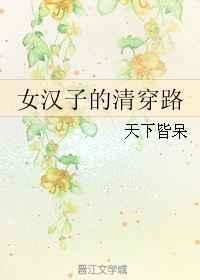 女汉子的清穿路讲什么