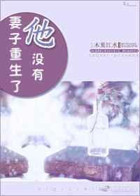 妻子重生了他没有孩子