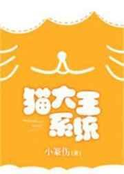 猫猫大王里面写了什么
