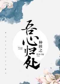 种田之吾心归处txt