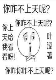 你咋不上天呢?你就是我的天