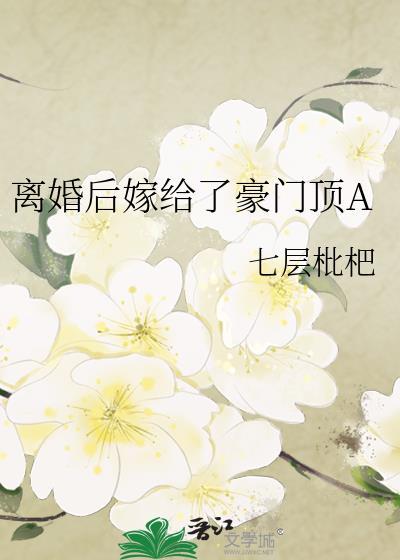 离婚后嫁给了豪门顶A 七层枇杷 免费 txt百度