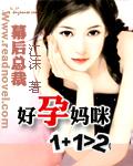 幕后总裁好孕妈咪1+1txt