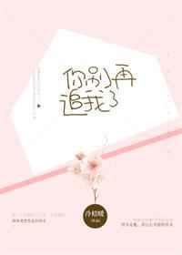 你别再追我了txt