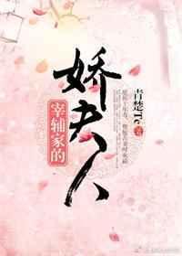 宰辅家的娇夫人TXT奇书网