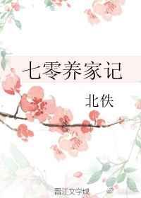 七零养家记 北佚
