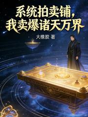 有关拍卖系统的