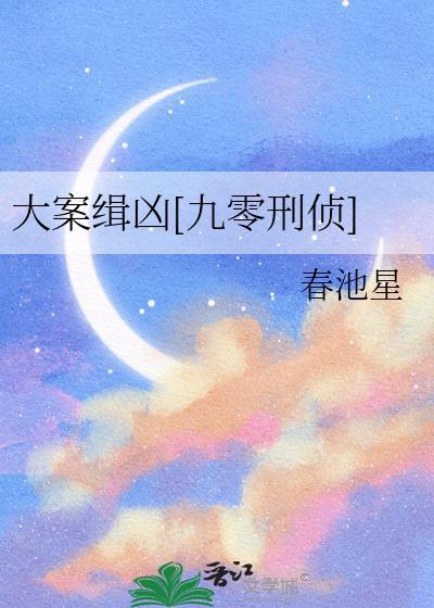 大案侦破记实录视频