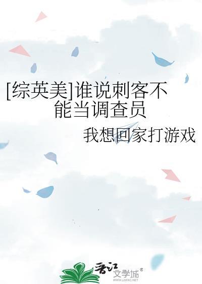 我说的是刺客