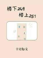 楼上251