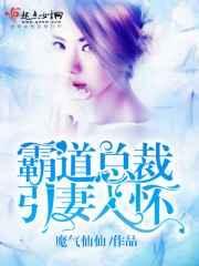 霸道总裁引妻入怀电视剧