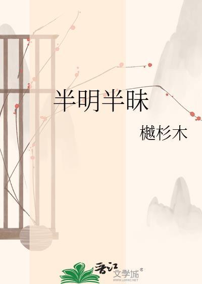 半明半昧是成语吗