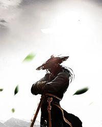 亡灵法师召唤流