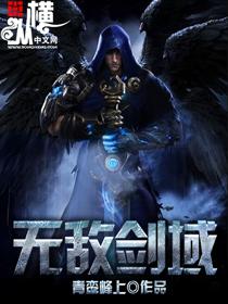 无敌剑域杨叶免费阅读