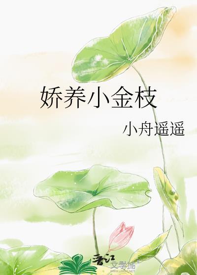 娇养小金枝